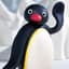 Pingu