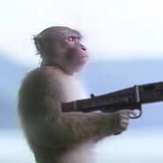 Tool Ape