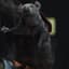 RAT Gilman