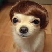 Señior Woofers