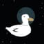 Kosmic Duck