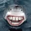 Bad Mr. Shark