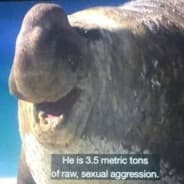 raw sexual aggression