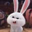 BunnySpirit