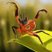 hunmantis