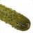 Dill Pickle
