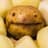 HarmlessPotato
