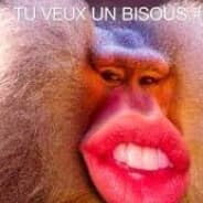 Le_babou1n