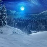 BorealWinter236