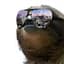 SlothStuff