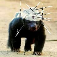 PanzerBadger