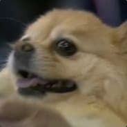 Kipz