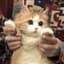 突破手猫猫