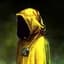 Hastur
