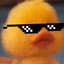CoolDucktuz!
