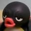 Pingu