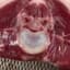 MeanMeatMan