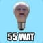 55wat