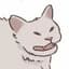 Plevy