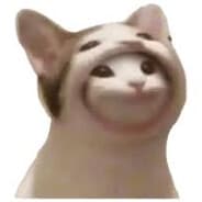 SupBZachary