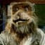 The Ratman