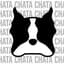 chata2502