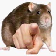 Comrade Vibennn