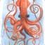 Squid