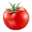 Tomato_1