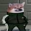 MrCheems