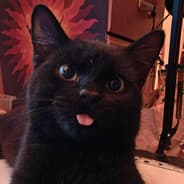 Cinder Elmcreek