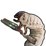 Grub