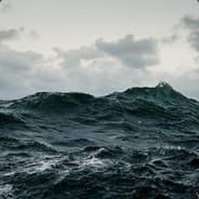 Kingofthesea
