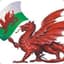 Welsh_Saint