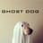 GhostDog