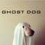 GhostDog