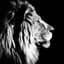 The Lion