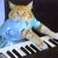 KeyboardCat