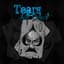 TearsFallSilent