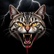 MadCat84