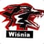 Wisnia