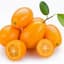 Kumquat