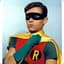Robin