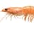 Discount Shrimp