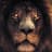 KingLion1314