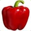 mrpaprika