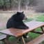 Kostas_981