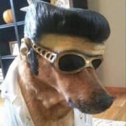 barbosa