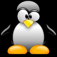 Corvus.Corax
