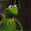 xReAcT xFrosch©®TM